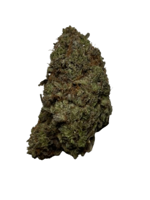 Lemon Kush Hybrid (AAAA)