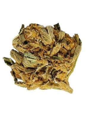 BLOW OUT SALE Warehouse Weed 28G $29